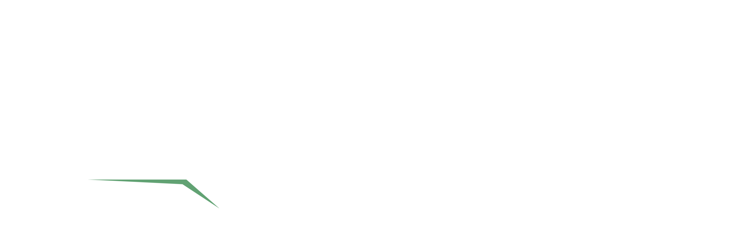 nxt seguros branco